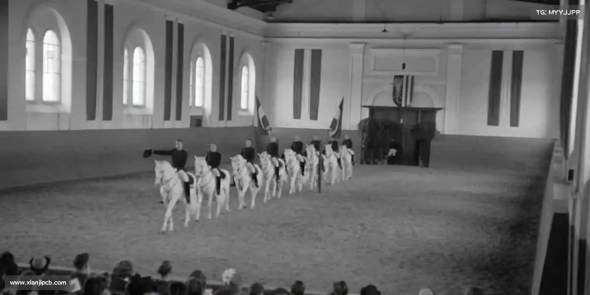 <strong>优游ub8</strong>🏀热血赛场，用拼搏定义属于你的高光时刻！